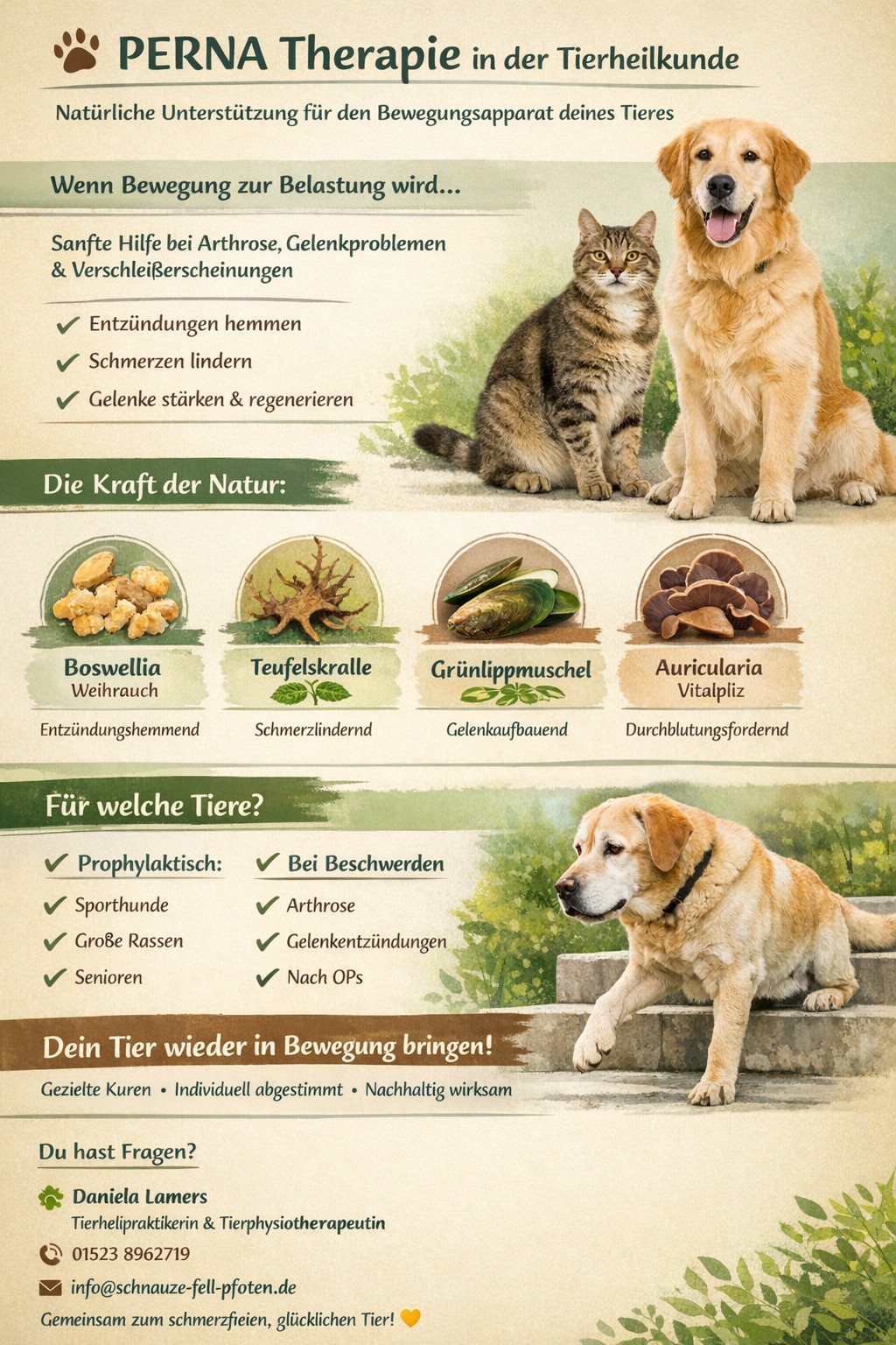 PERNA Therapie fr Tiere und Gesundheit.jpg